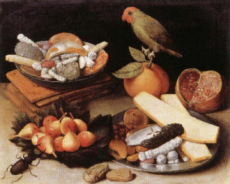  Still Life with Parrot